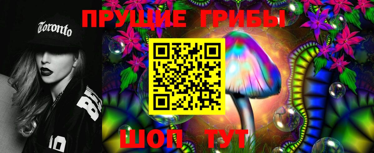 Псилоцибиновые грибы Cubensis Ковров